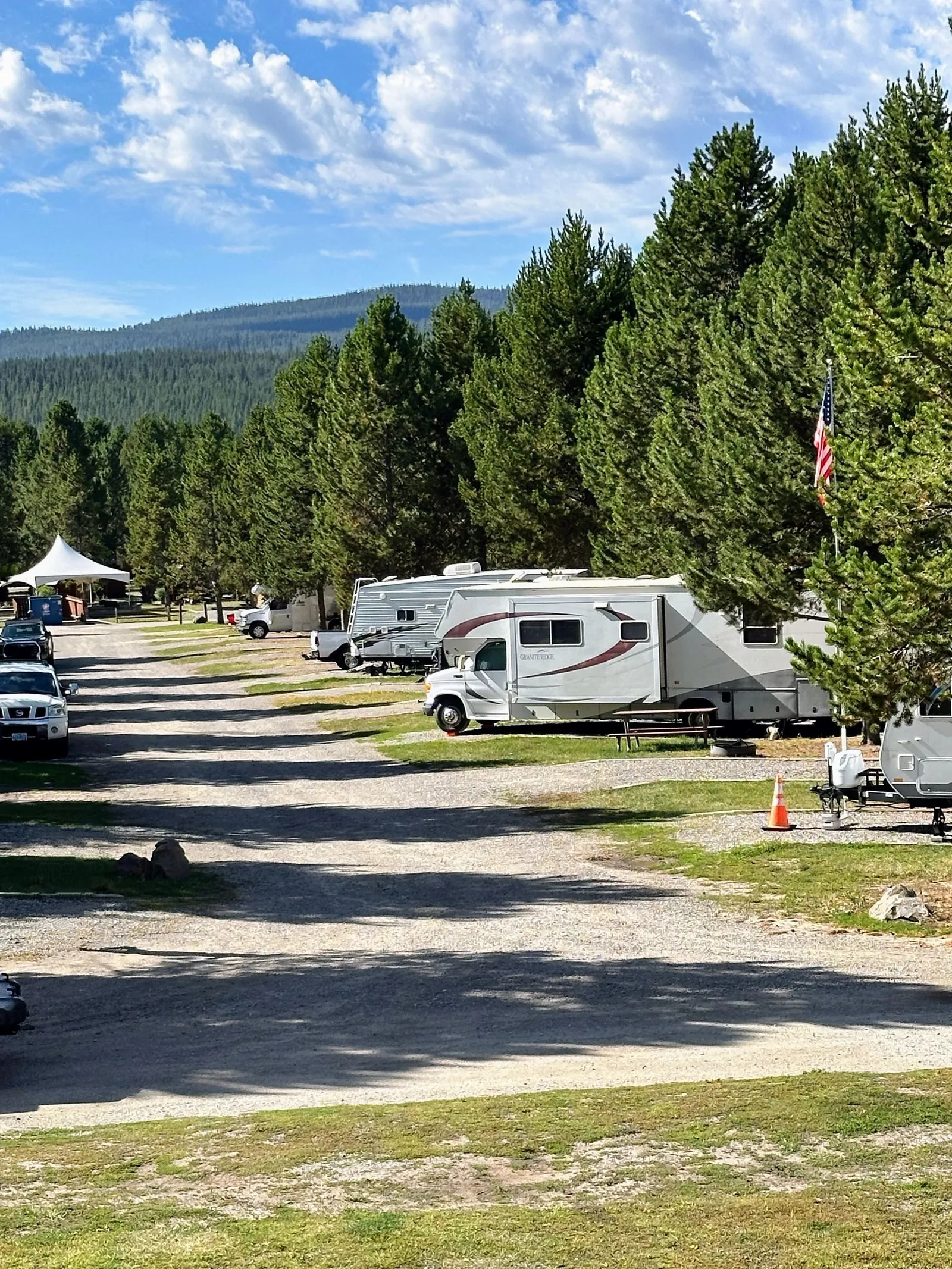 RVs among pine trees and mountains