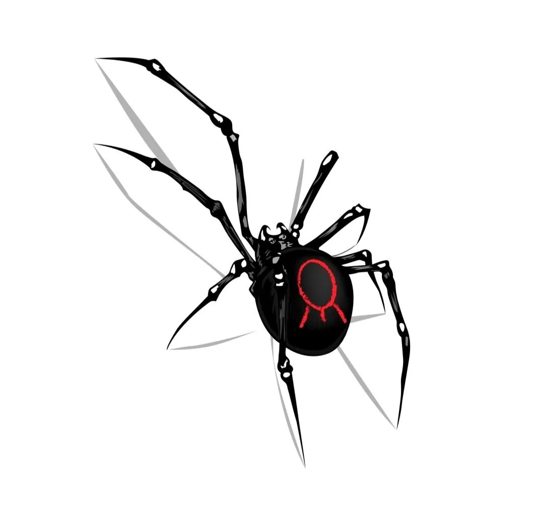Black spider illustration from the Crippled Spider Ranch logo